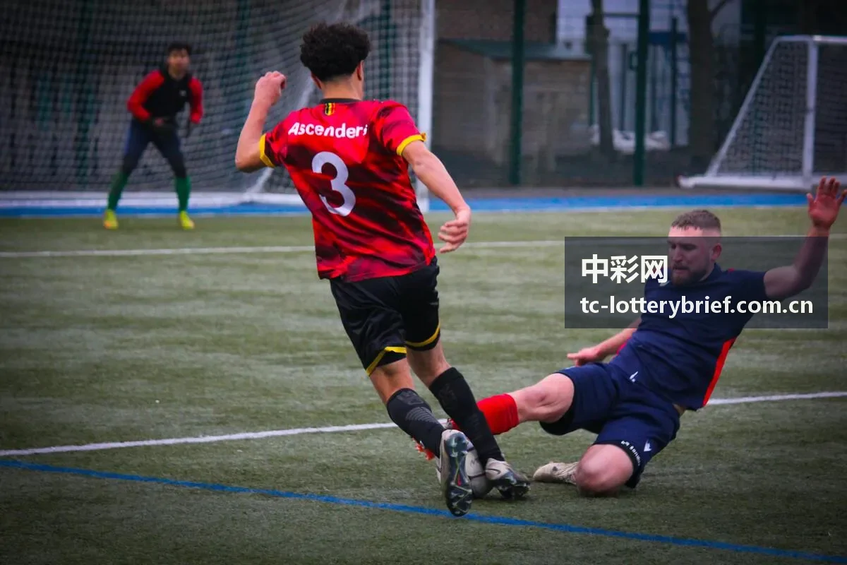 中彩网开奖结果查询与走势封面